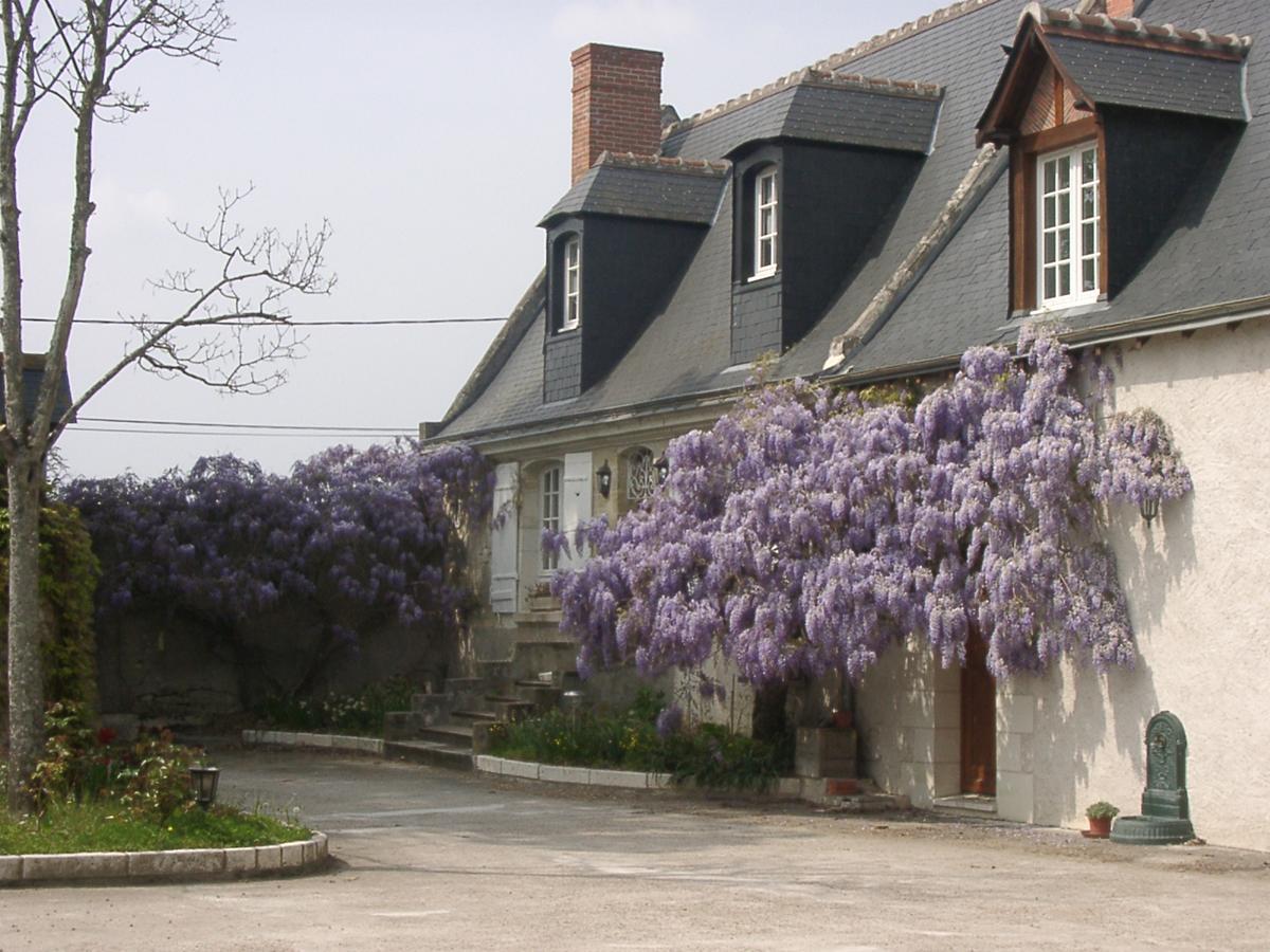 Au Clos De L'Epinay Vouvray Exterior foto