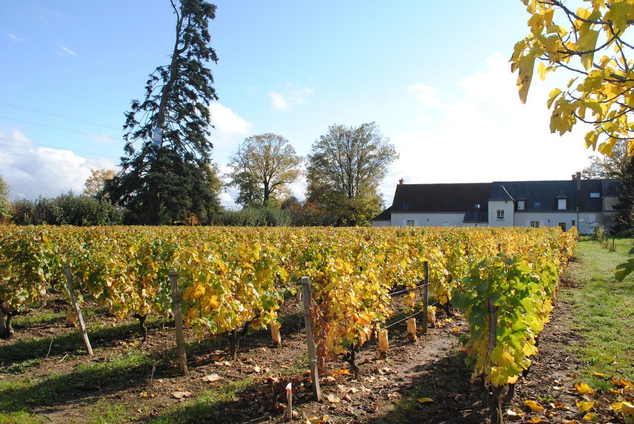 Au Clos De L'Epinay Vouvray Exterior foto